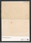 Fragilaria lapponica Grun. (de-Toni-Nr.: Genus 73, Species 2773) Zeichnungen Sammlung Grunow (NHMW-BOT-W0374097)